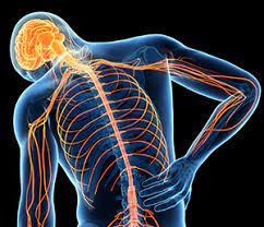 Acute Pain- Definition, Causes, Symptoms & Treatment